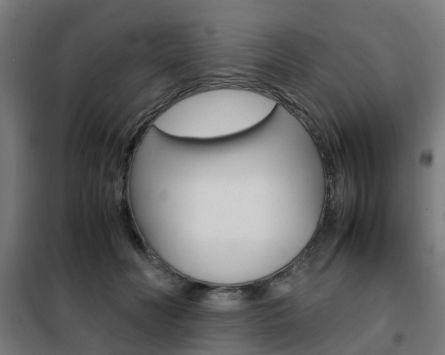 X0000102250606200807250902