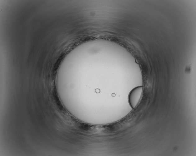 X0000102250607200807250902