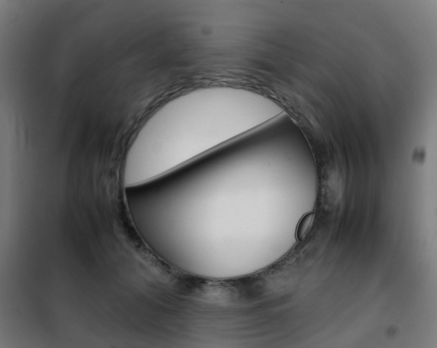 X0000102250608200807250902