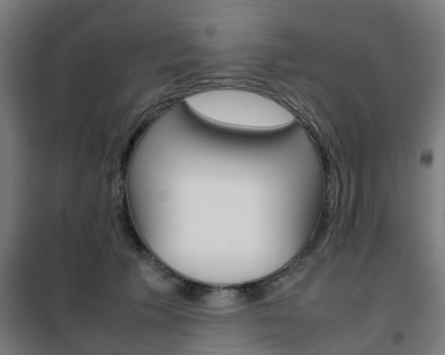 X0000102250609200807250902