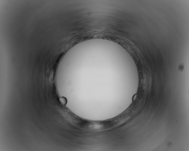 X0000102250610200807250902