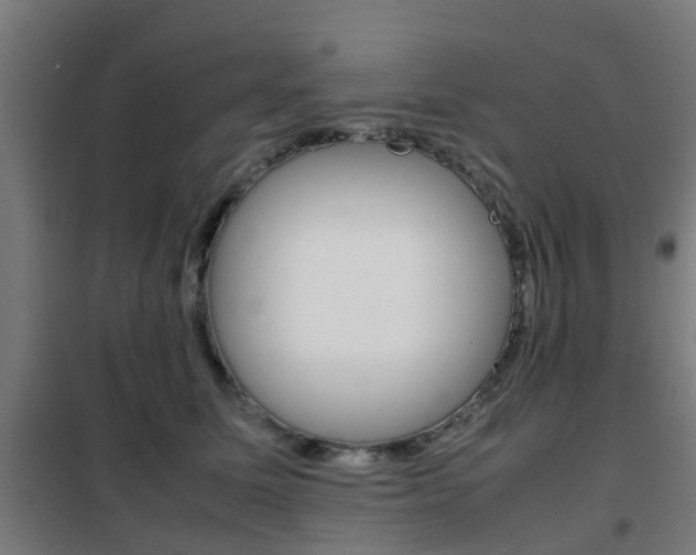 X0000102250611200807250902