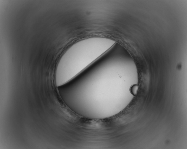 X0000102250612200807250902