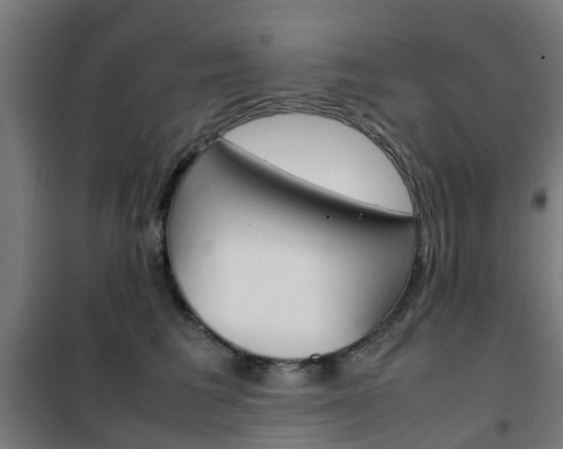 X0000102250613200807250902
