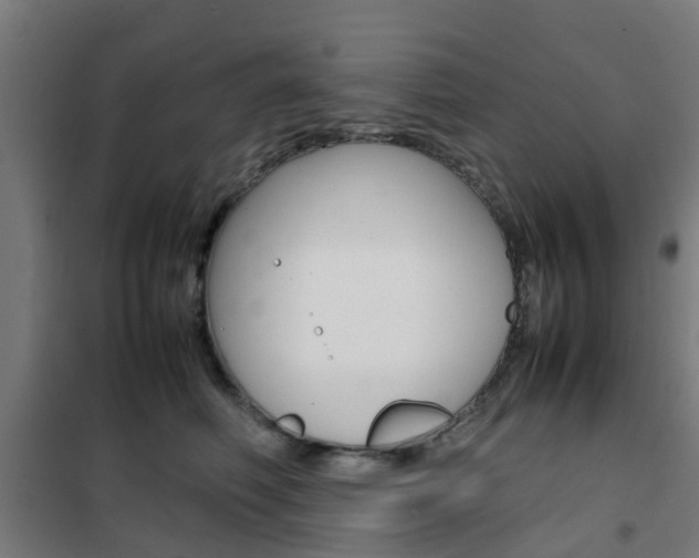 X0000102250614200807250902