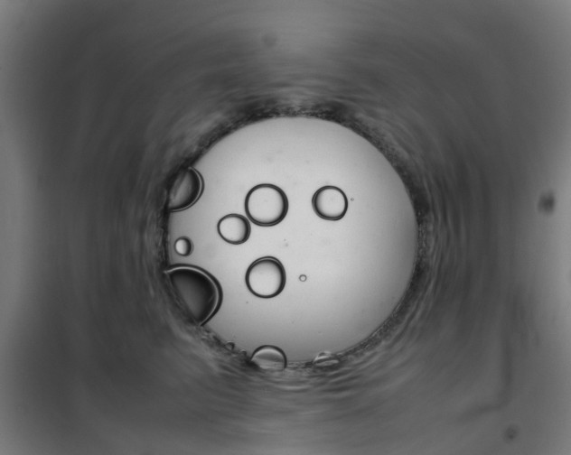 X0000102250615200807250902
