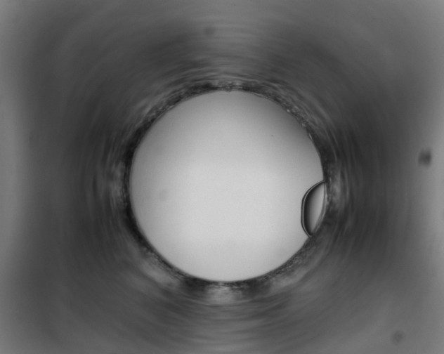 X0000102250616200807250902