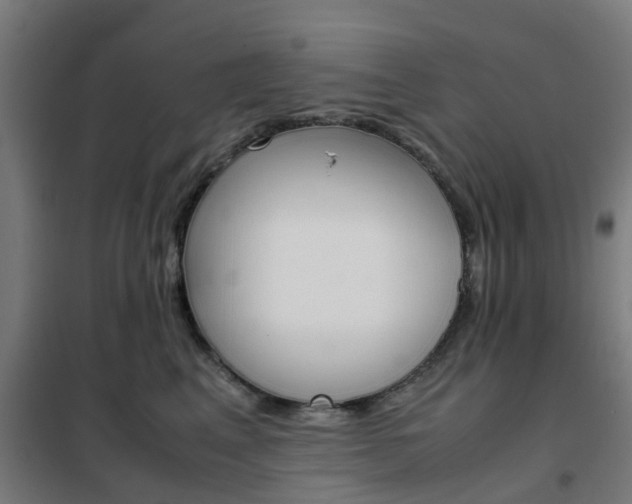 X0000102250617200807250902