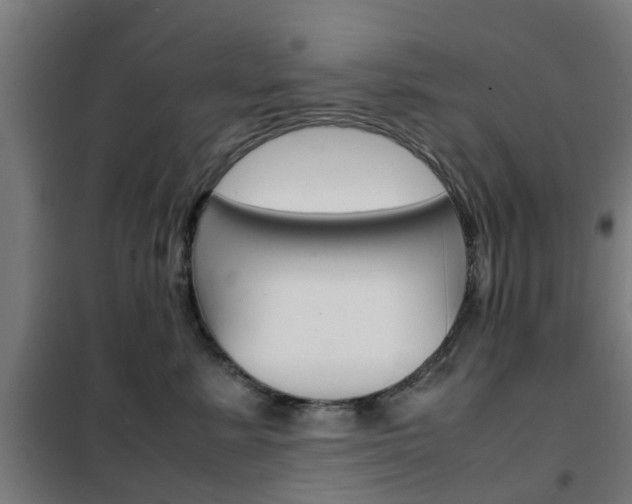 X0000102250619200807250902