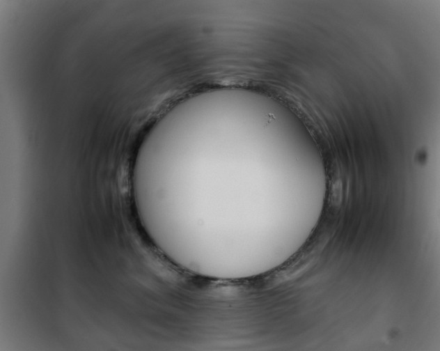 X0000102250620200807250902
