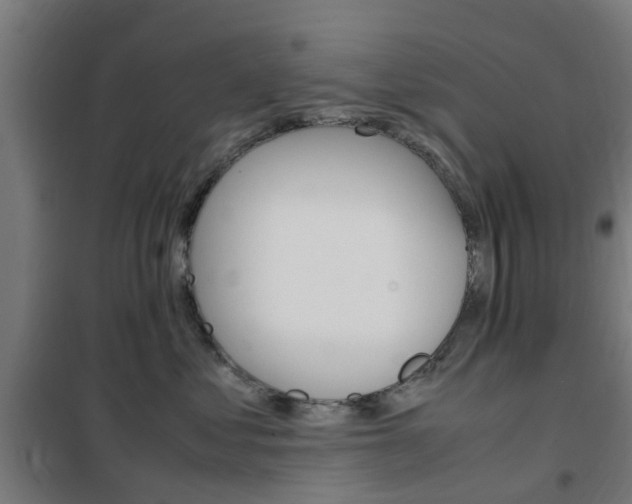 X0000102250621200807250902