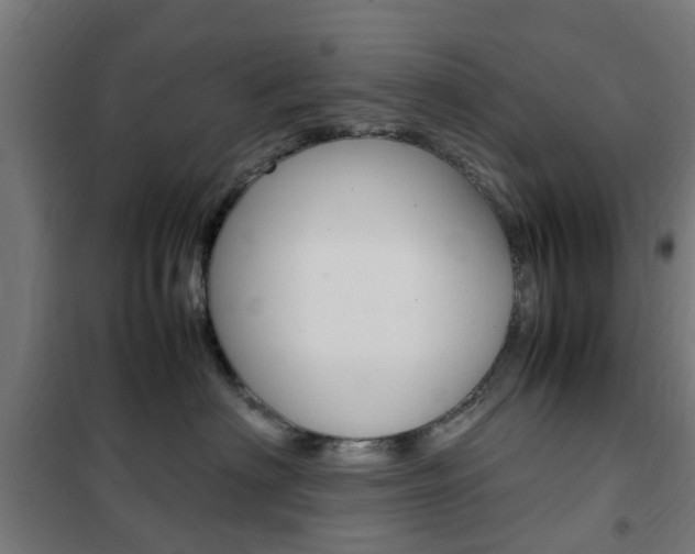 X0000102250622200807250902