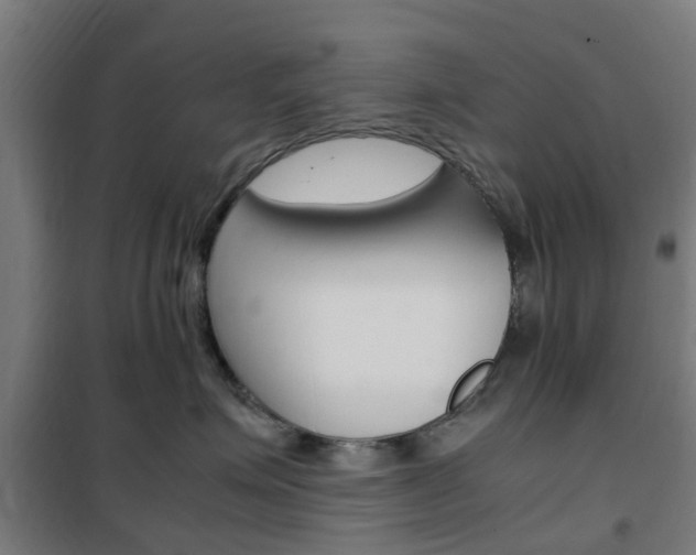 X0000102250623200807250902