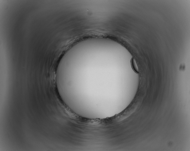 X0000102250624200807250902