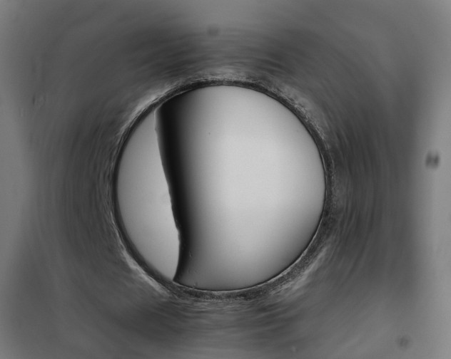 X0000102250625200807250901