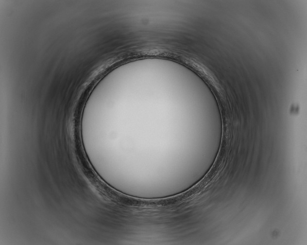 X0000102250626200807250901