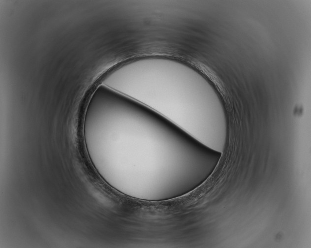 X0000102250627200807250901