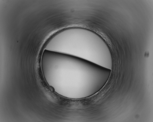 X0000102250628200807250901