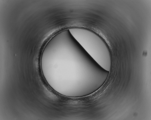 X0000102250629200807250901