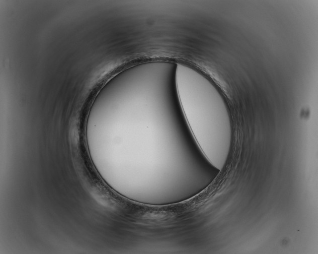 X0000102250631200807250901