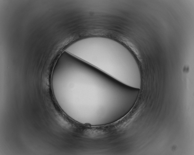 X0000102250633200807250901