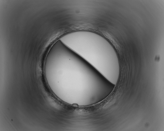X0000102250634200807250901