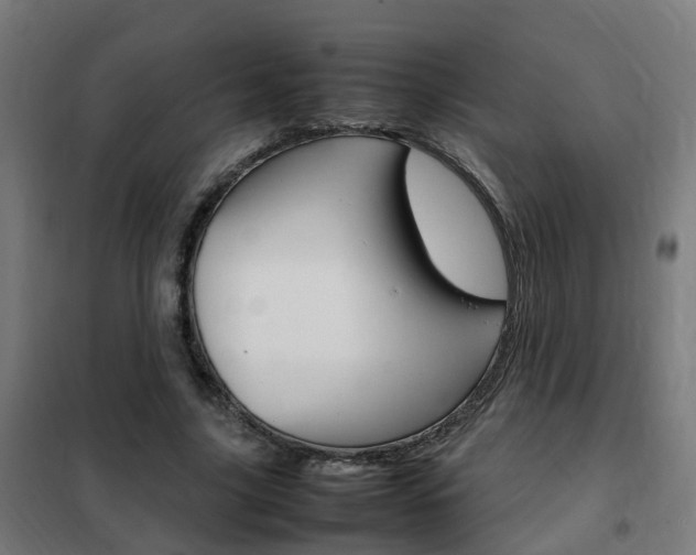 X0000102250635200807250901