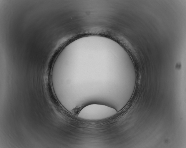 X0000102250636200807250902