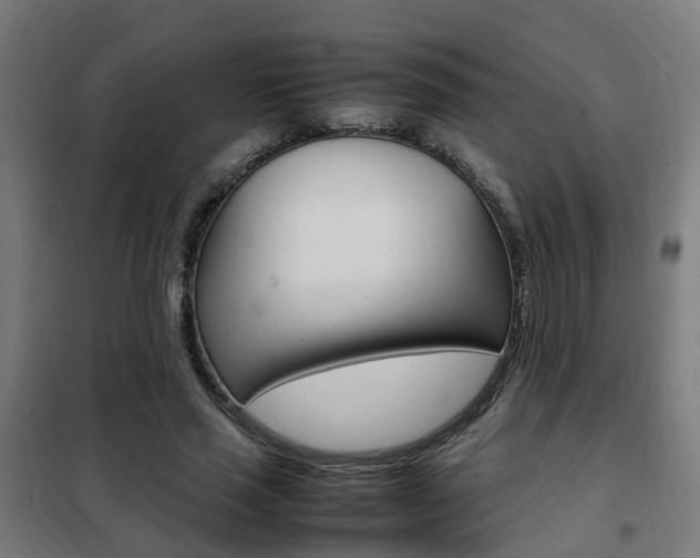 X0000102250637200807250902