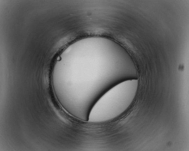 X0000102250638200807250902