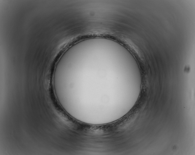 X0000102250640200807250902