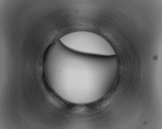 X0000102250642200807250902