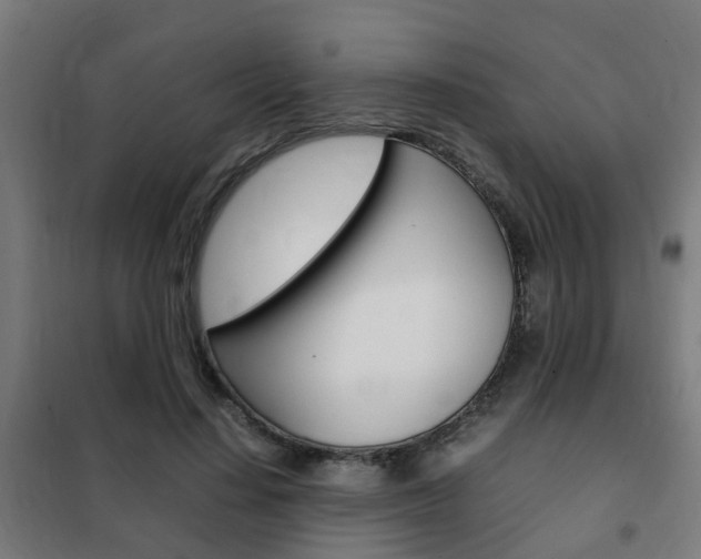 X0000102250644200807250902
