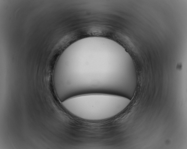 X0000102250645200807250902