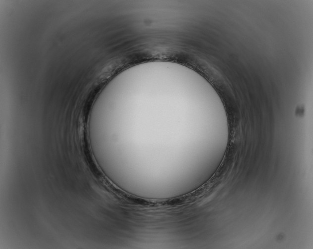 X0000102250646200807250902
