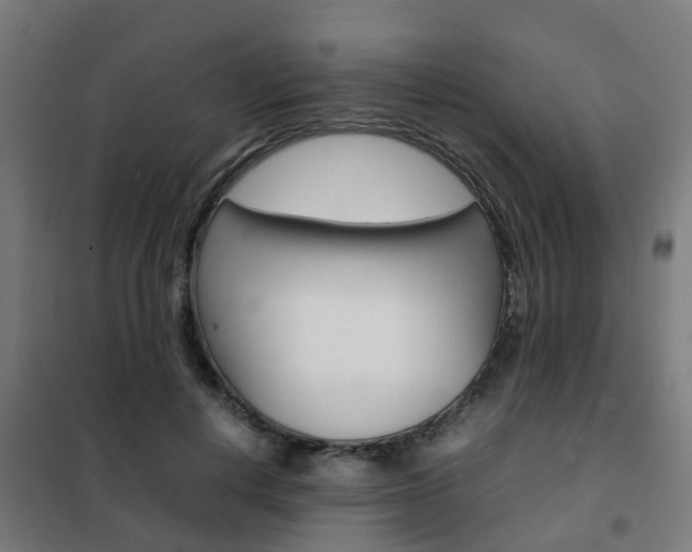 X0000102250648200807250902