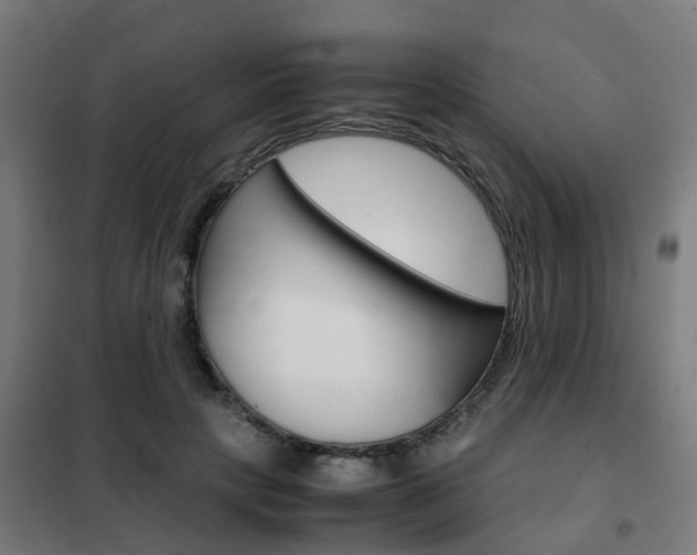 X0000102250649200807250902