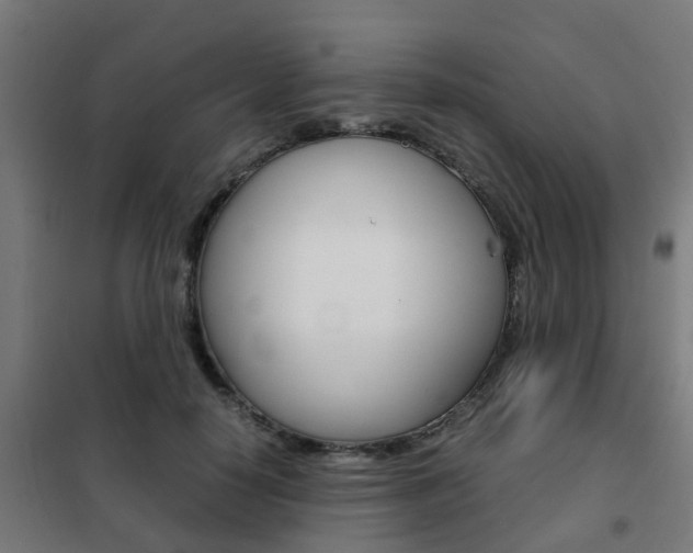 X0000102250650200807250902