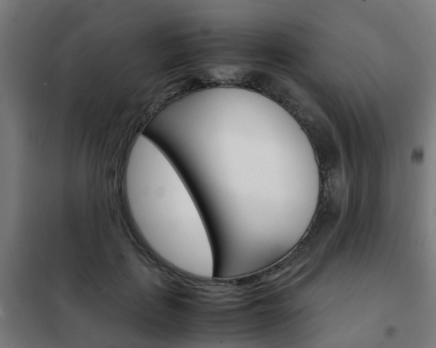 X0000102250651200807250902