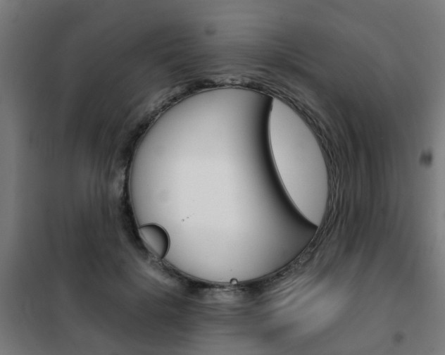 X0000102250652200807250902