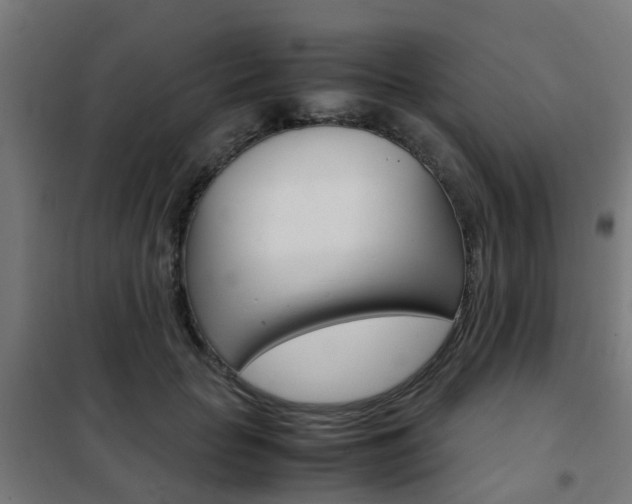 X0000102250653200807250902