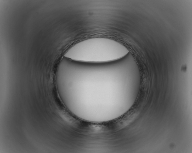 X0000102250654200807250902