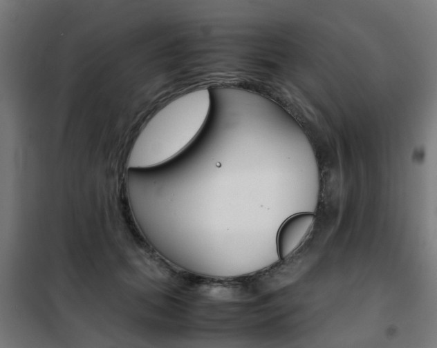 X0000102250655200807250902