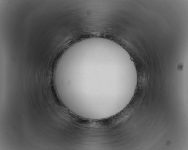 X0000102250656200807250902