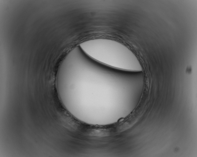 X0000102250657200807250902