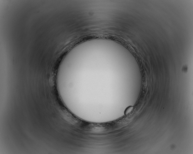 X0000102250658200807250902