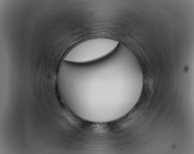 X0000102250660200807250902