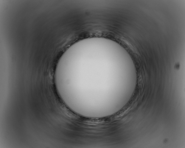 X0000102250661200807250902