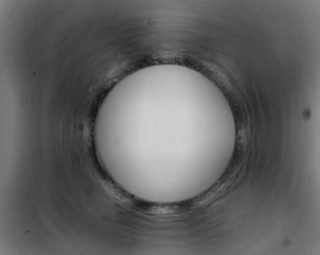 X0000102250662200807250902