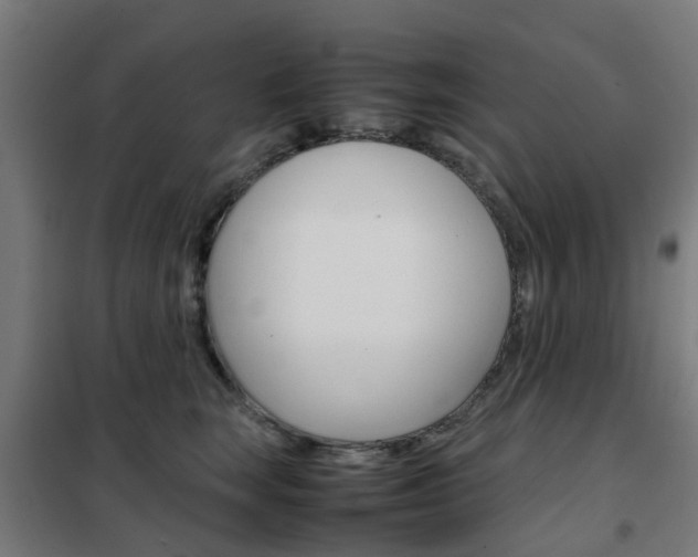 X0000102250663200807250902